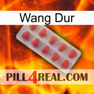 Hard Wang 18